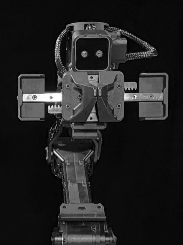 WidowX AI